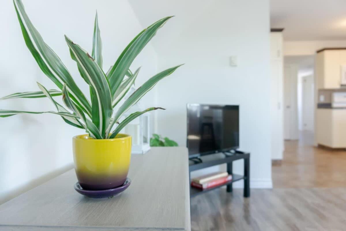 Amazing Location In Saint John 2 Bedroom Modern Parking New エクステリア 写真