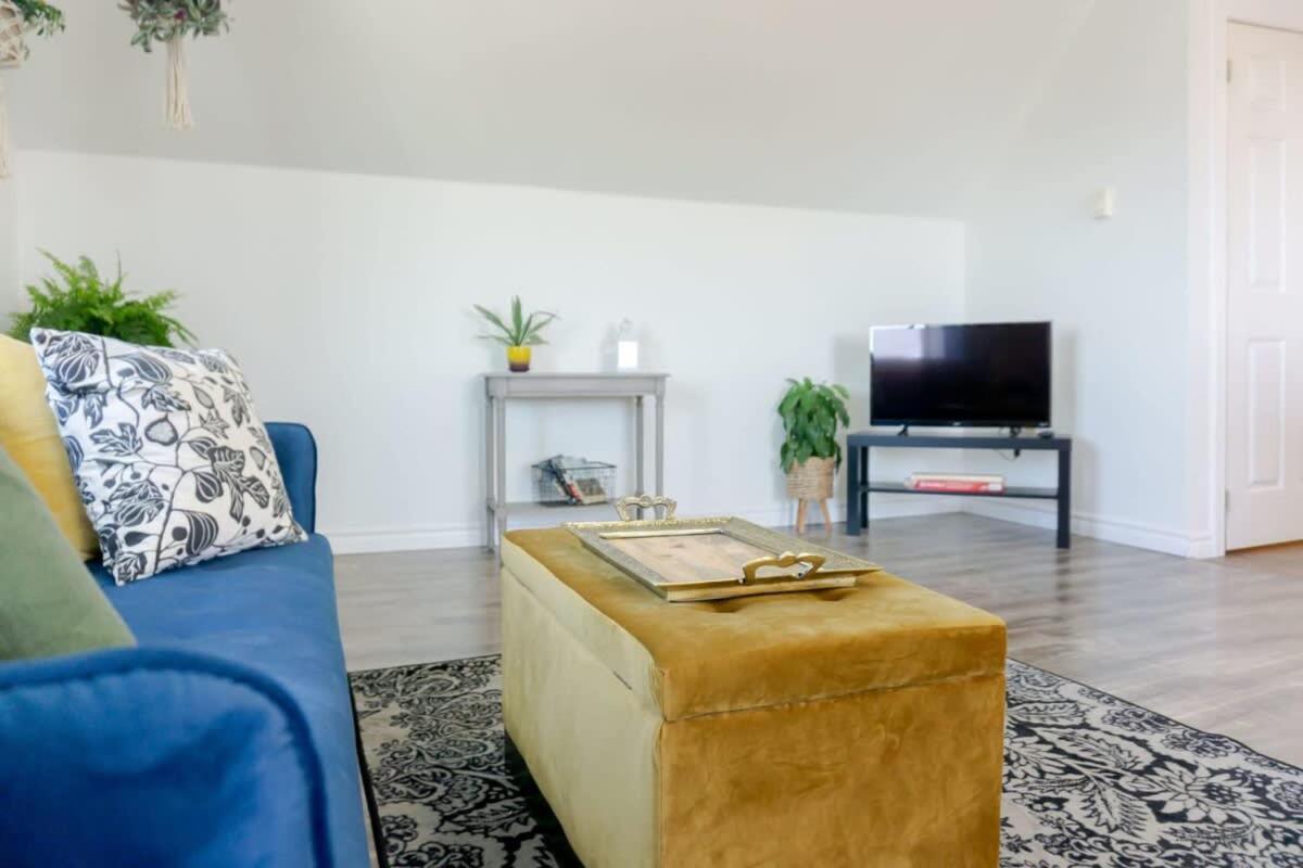 Amazing Location In Saint John 2 Bedroom Modern Parking New エクステリア 写真