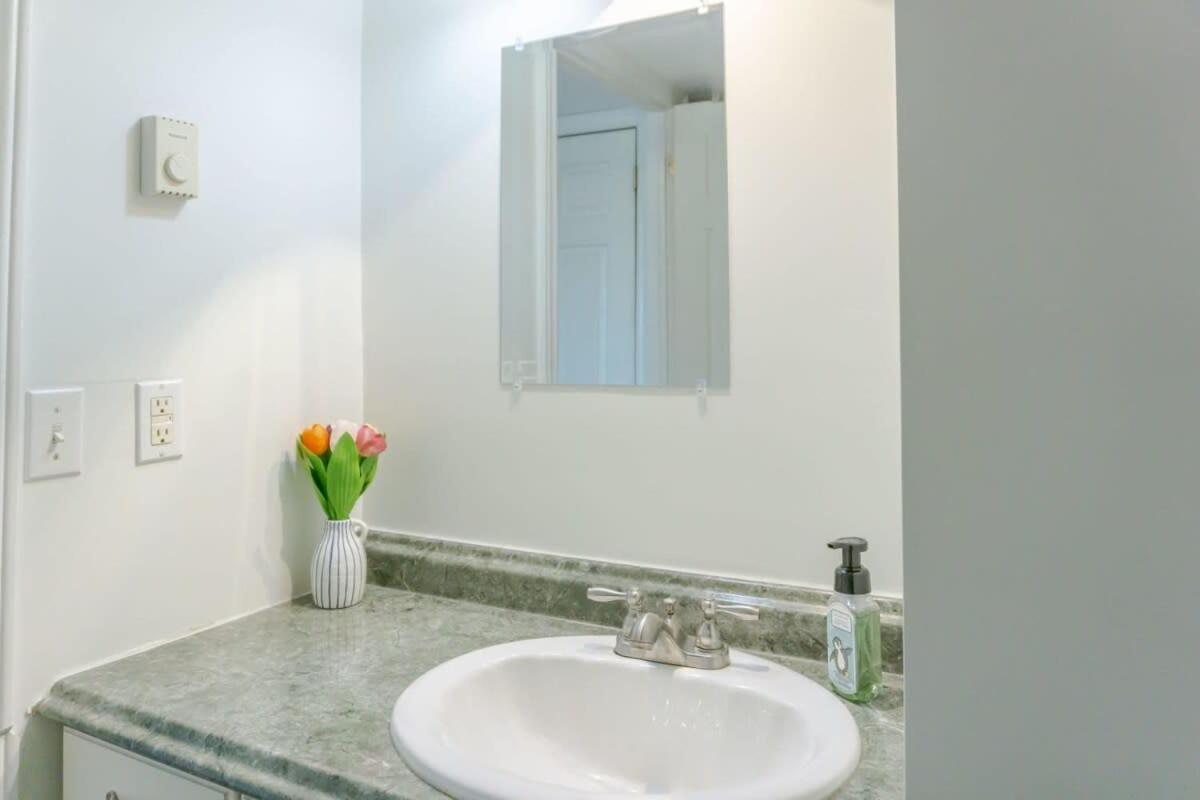 Amazing Location In Saint John 2 Bedroom Modern Parking New エクステリア 写真
